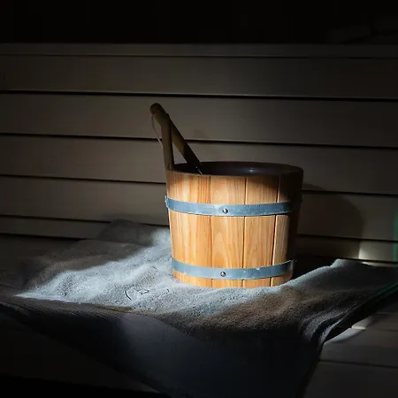 Dorfchalet Luxus-wellness-chalet Im Skigebiet 格罗萨尔